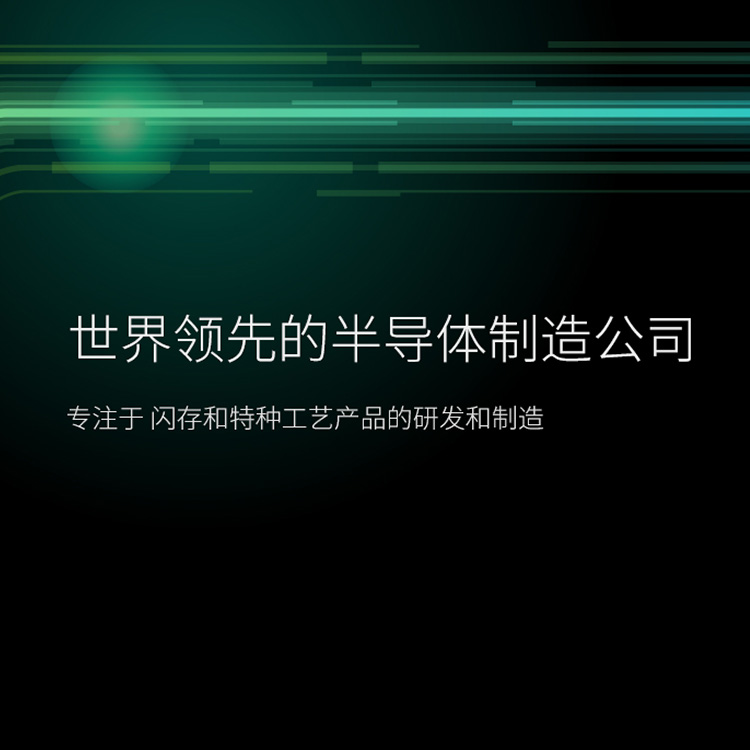 HOLY荷勒為(wèi)長(cháng)江存儲和武漢新(xīn)芯打造新(xīn)網站